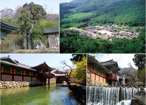 2013顺天旅游名胜精品推荐 览尽韩半岛南端之秀美景观